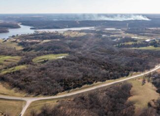 Recreational Land with Hunting & Development Potential