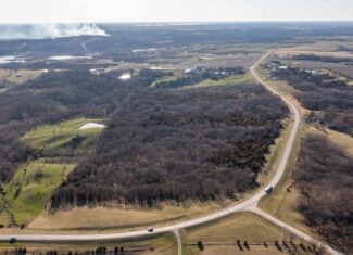 Recreational Land with Hunting & Development Potential