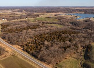 Recreational Land with Hunting & Development Potential