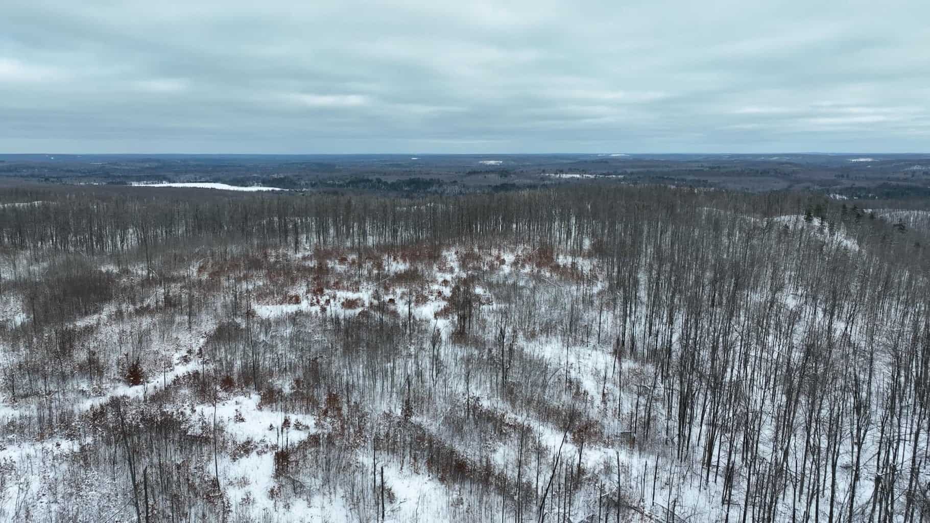100 Acres in Atlanta, MI – Prime Hunting Land with Road Frontage