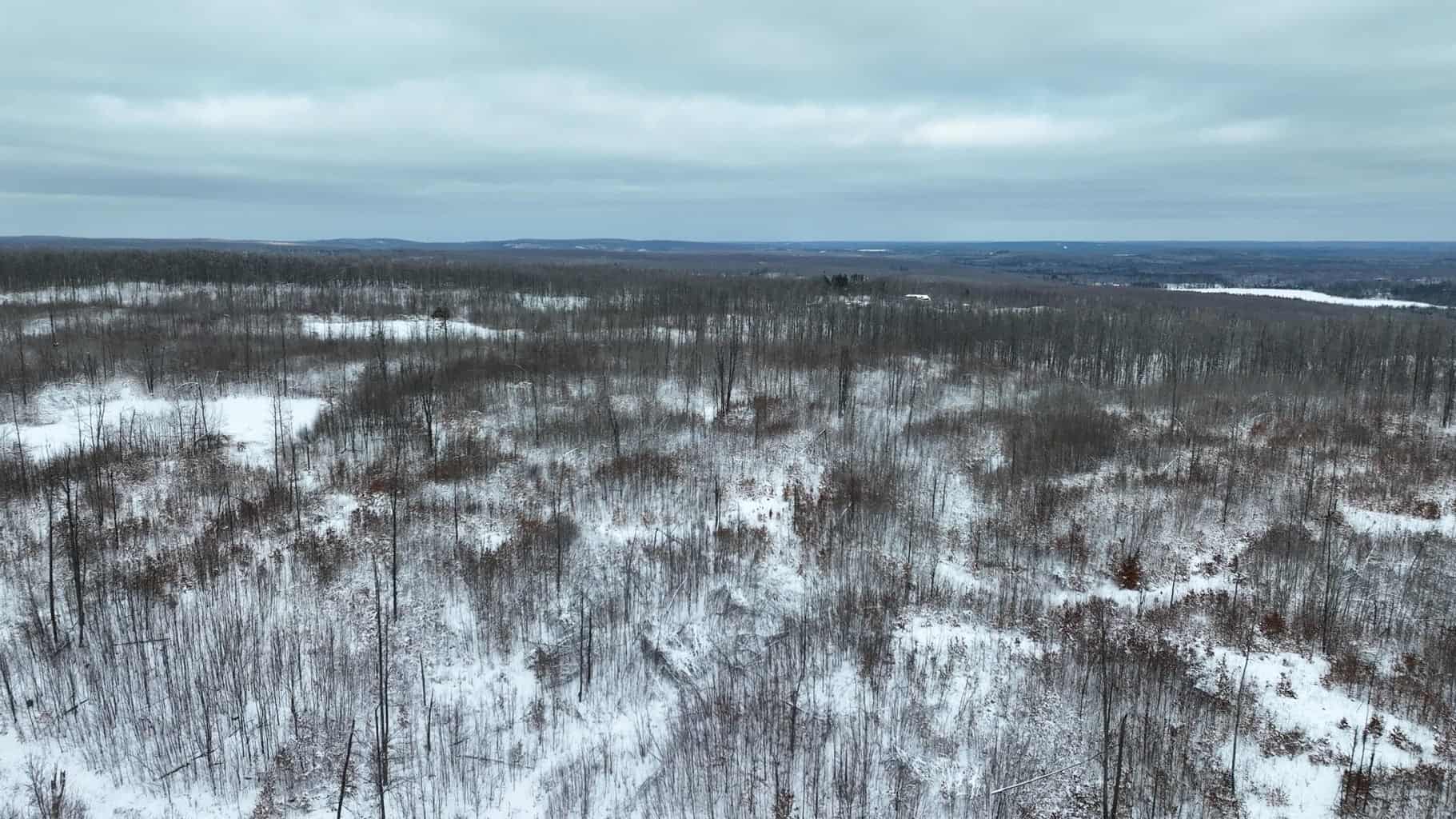 100 Acres in Atlanta, MI – Prime Hunting Land with Road Frontage