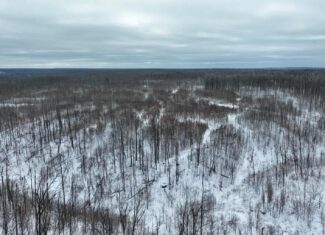 100 Acres in Atlanta, MI – Prime Hunting Land with Road Frontage