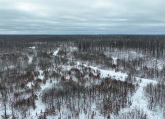 100 Acres in Atlanta, MI – Prime Hunting Land with Road Frontage