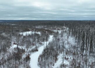 100 Acres in Atlanta, MI – Prime Hunting Land with Road Frontage