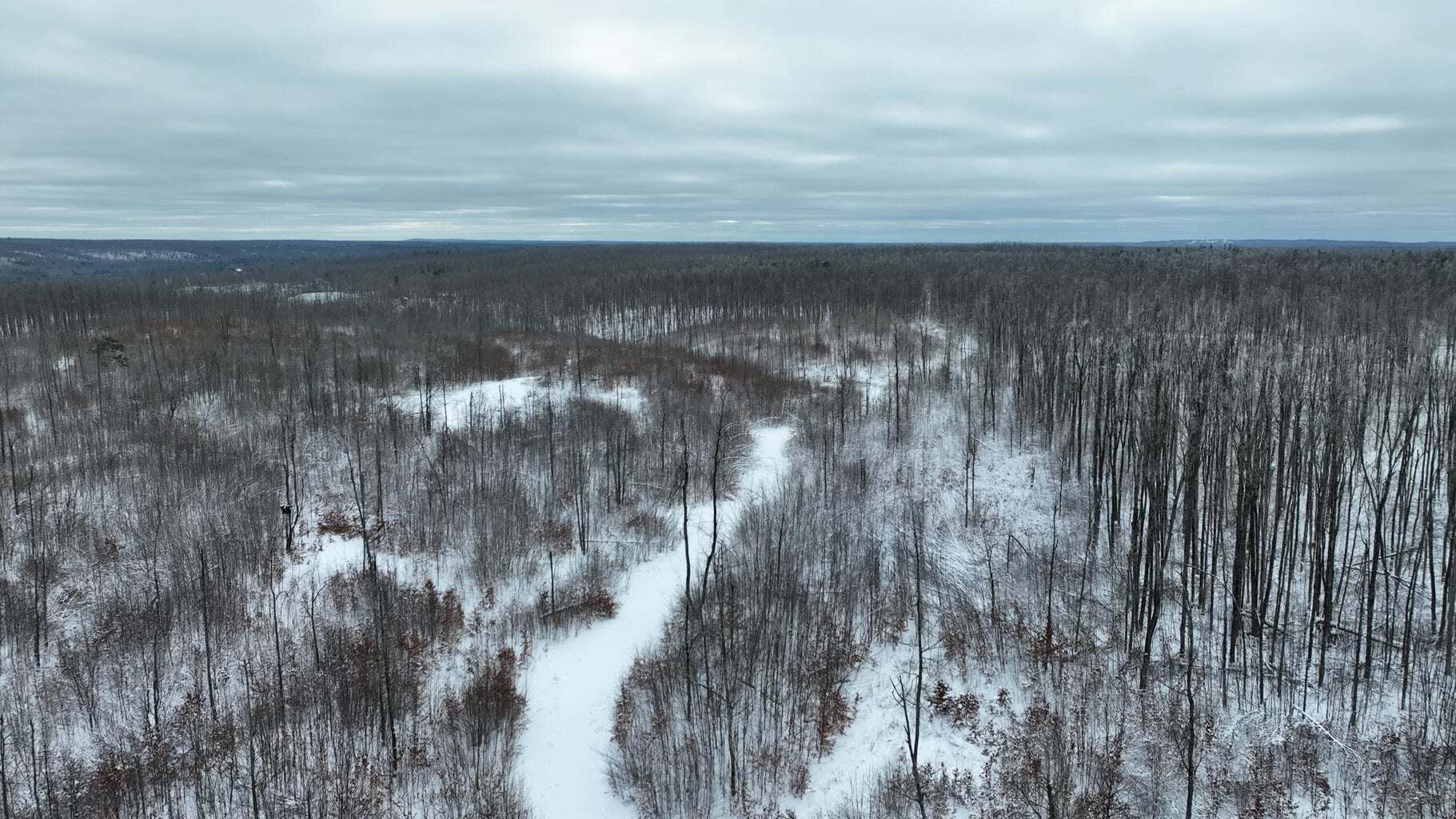 100 Acres in Atlanta, MI – Prime Hunting Land with Road Frontage