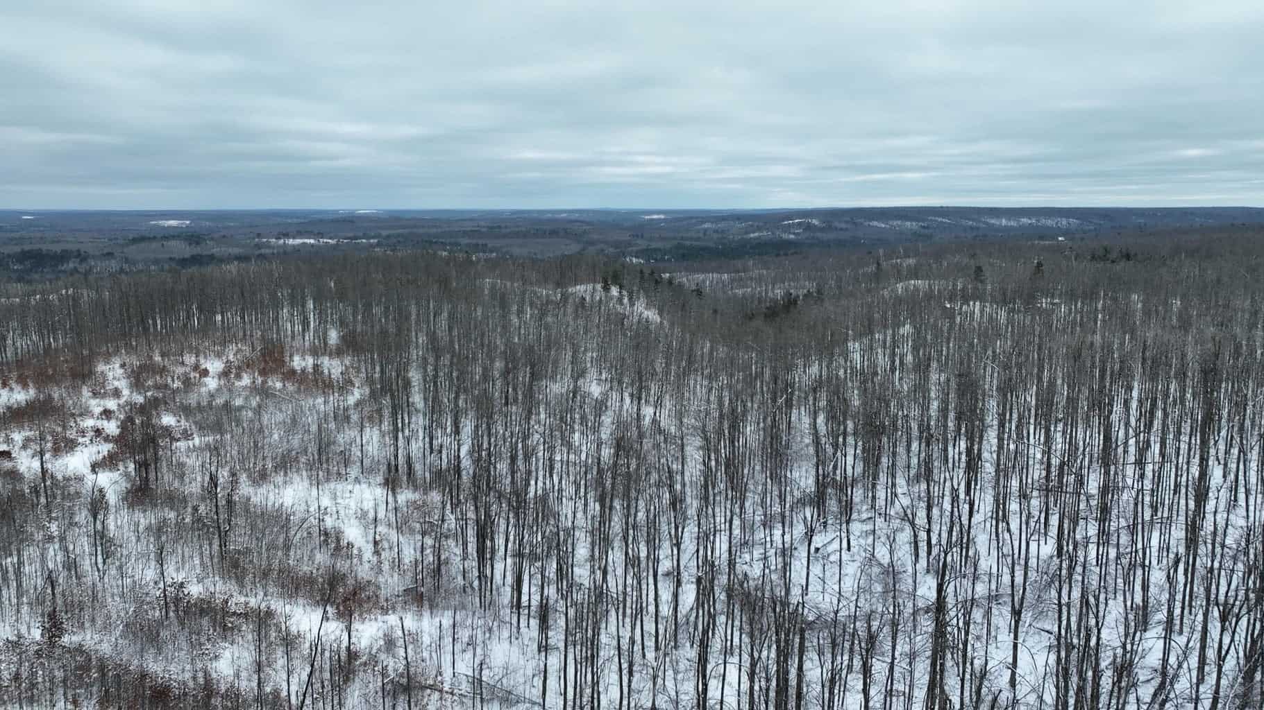 100 Acres in Atlanta, MI – Prime Hunting Land with Road Frontage