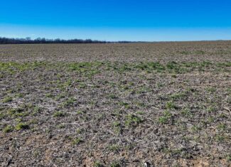 230+\- acres for Auction Lamar MO