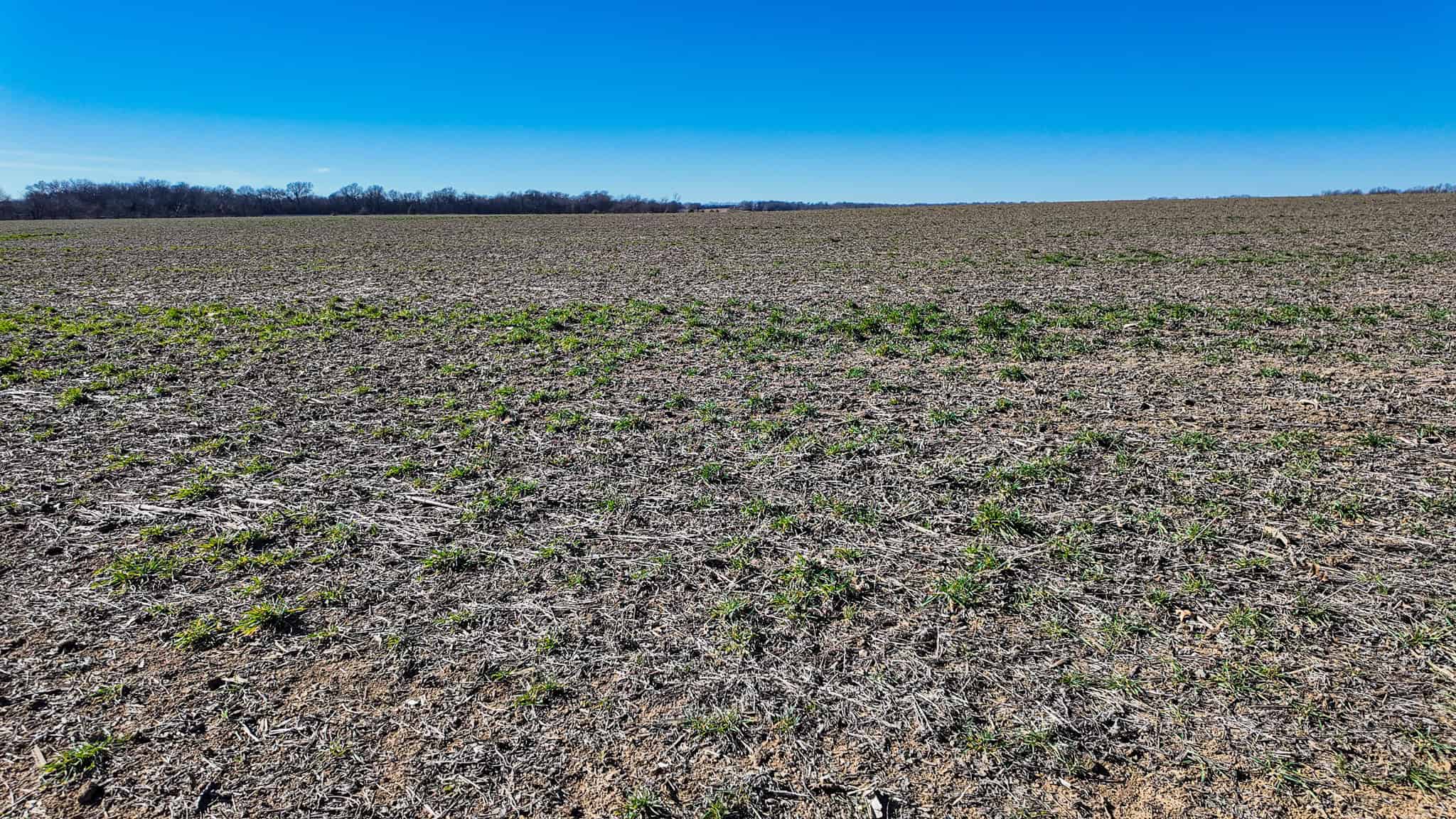 230+\- acres for Auction Lamar MO