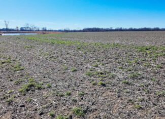 230+\- acres for Auction Lamar MO