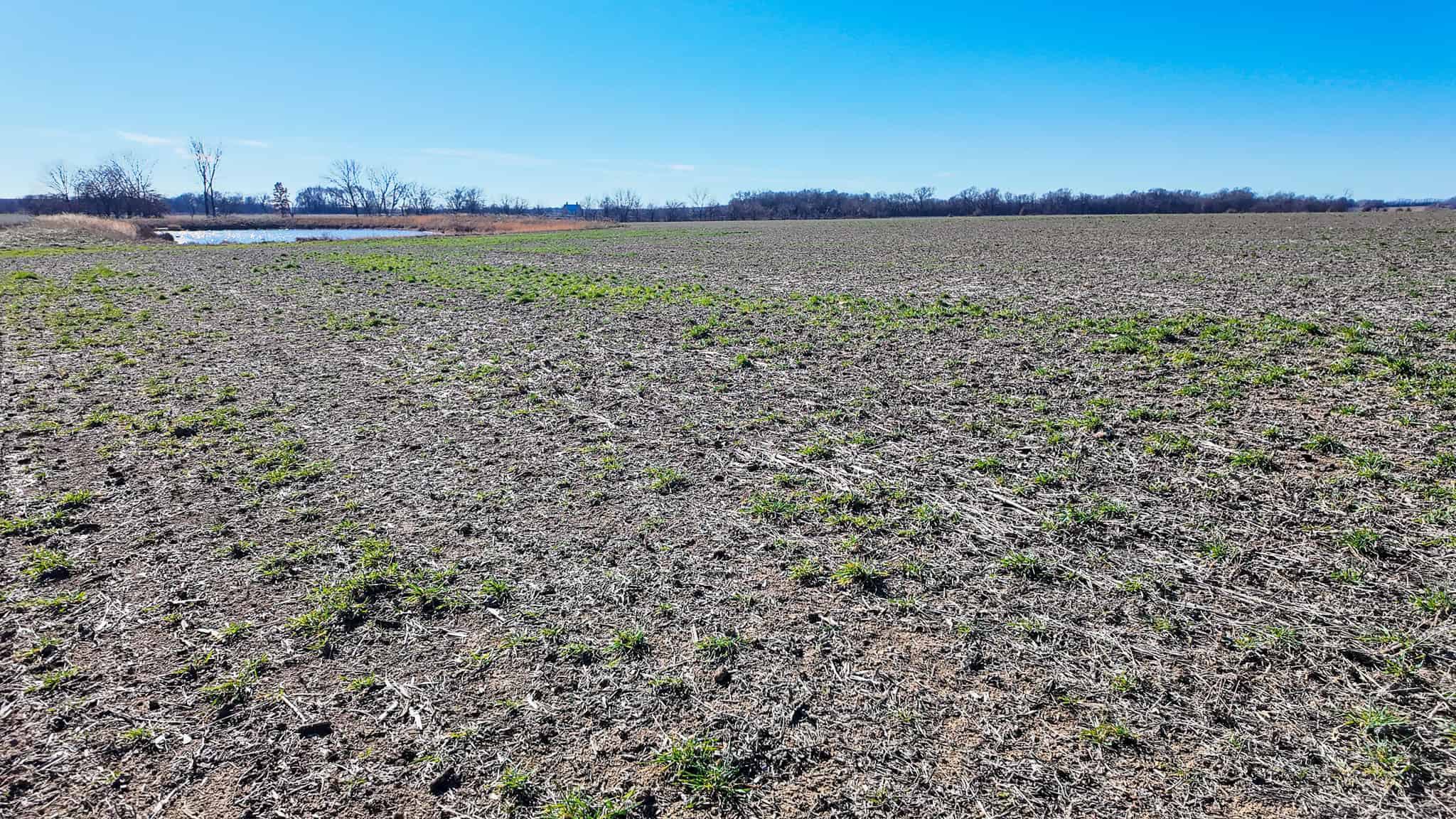 230+\- acres for Auction Lamar MO