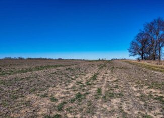 230+\- acres for Auction Lamar MO