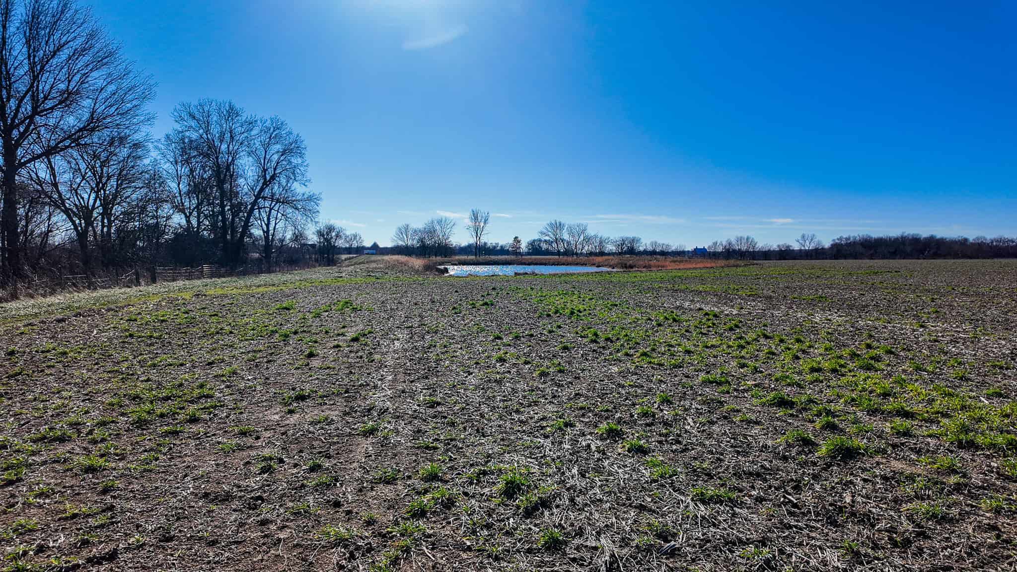 230+\- acres for Auction Lamar MO