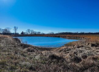 230+\- acres for Auction Lamar MO