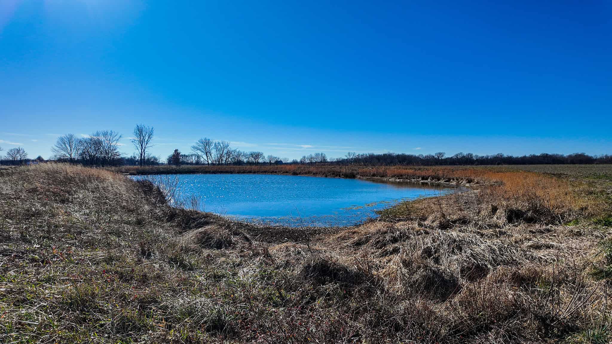 230+\- acres for Auction Lamar MO