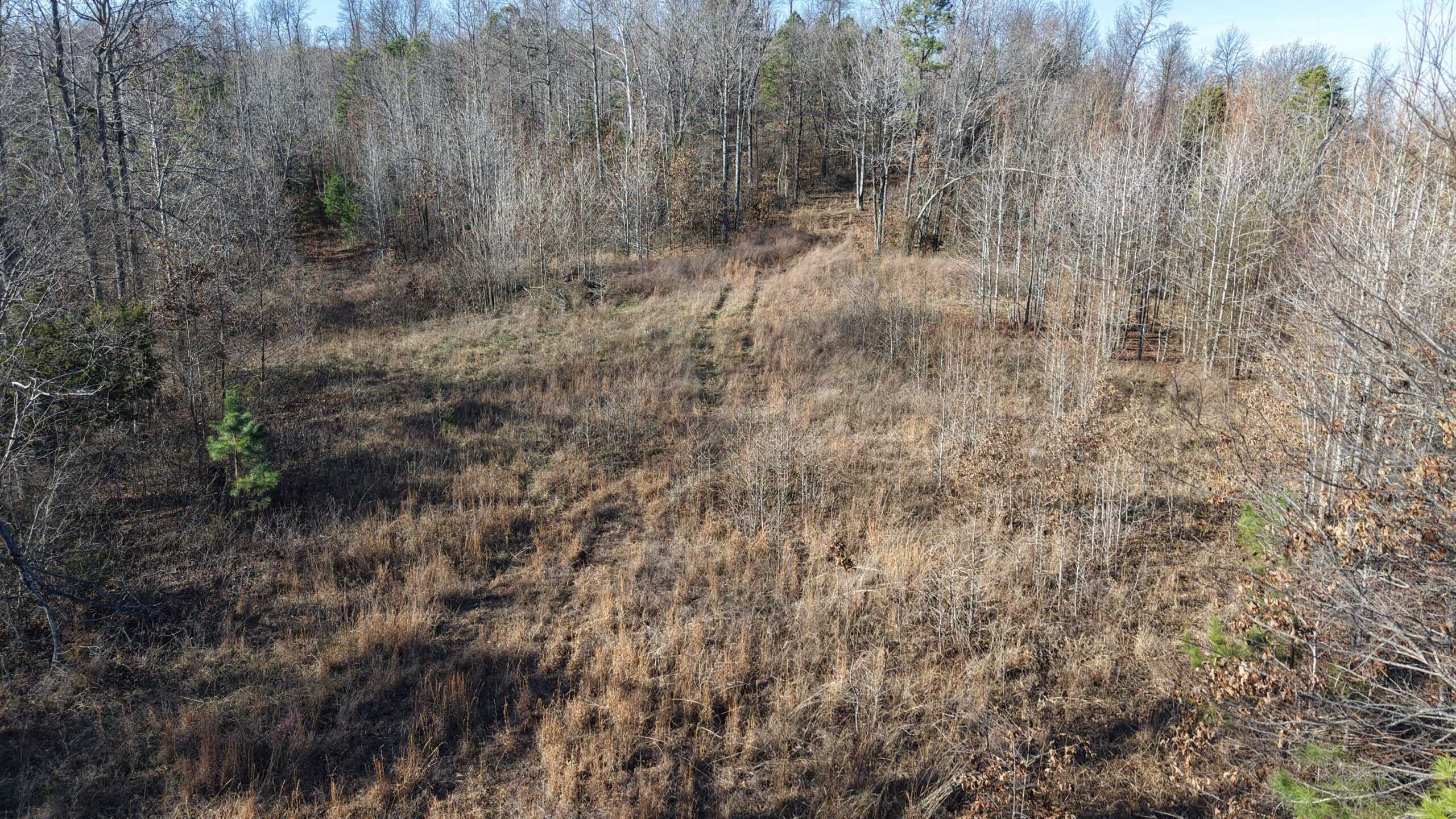 HUNTING AND RECREATIONAL LAND FOR SALE IN NORTH CENTRAL ARKANSAS
