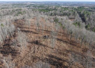 HUNTING AND RECREATIONAL LAND FOR SALE IN NORTH CENTRAL ARKANSAS