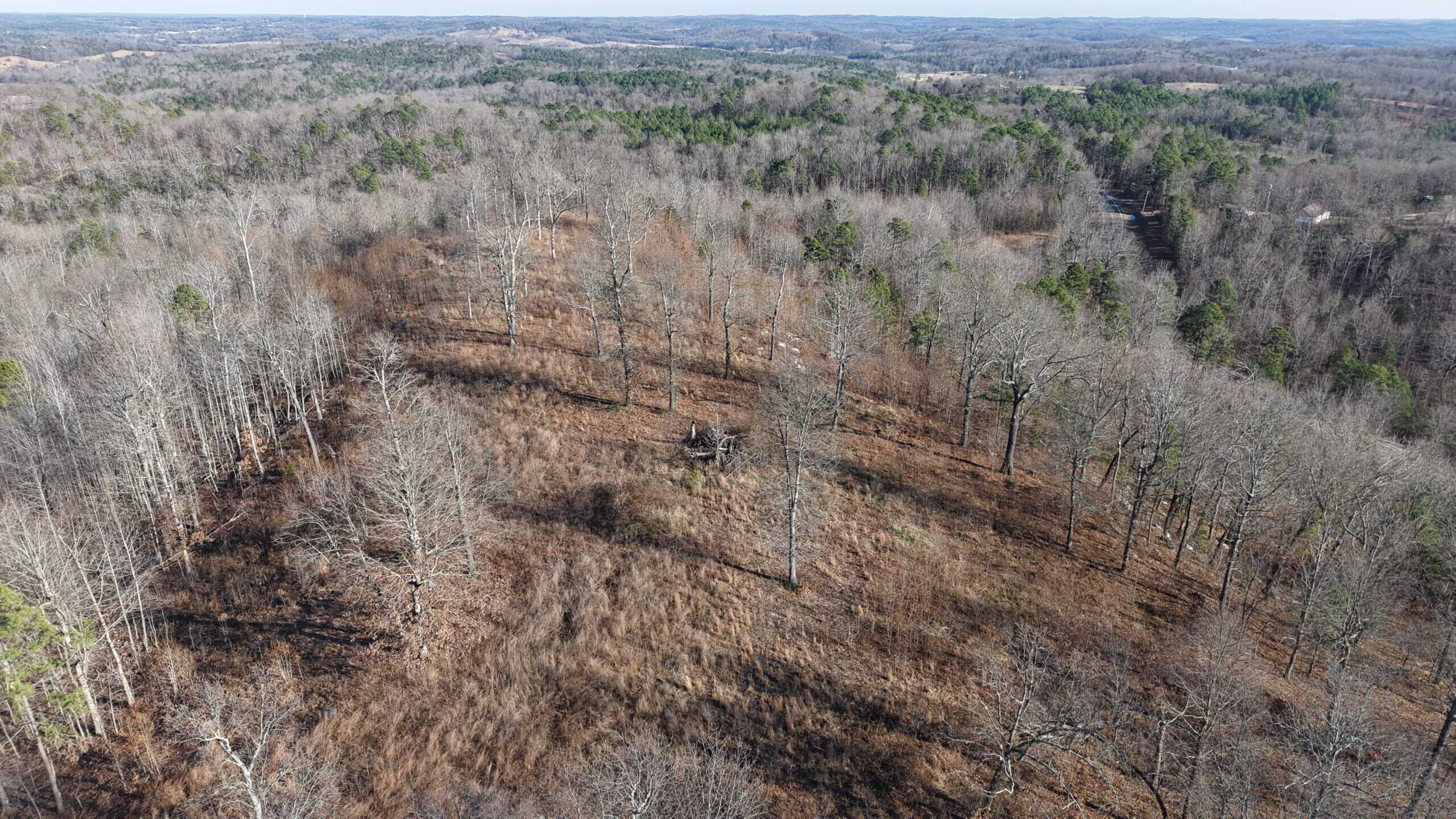 HUNTING AND RECREATIONAL LAND FOR SALE IN NORTH CENTRAL ARKANSAS