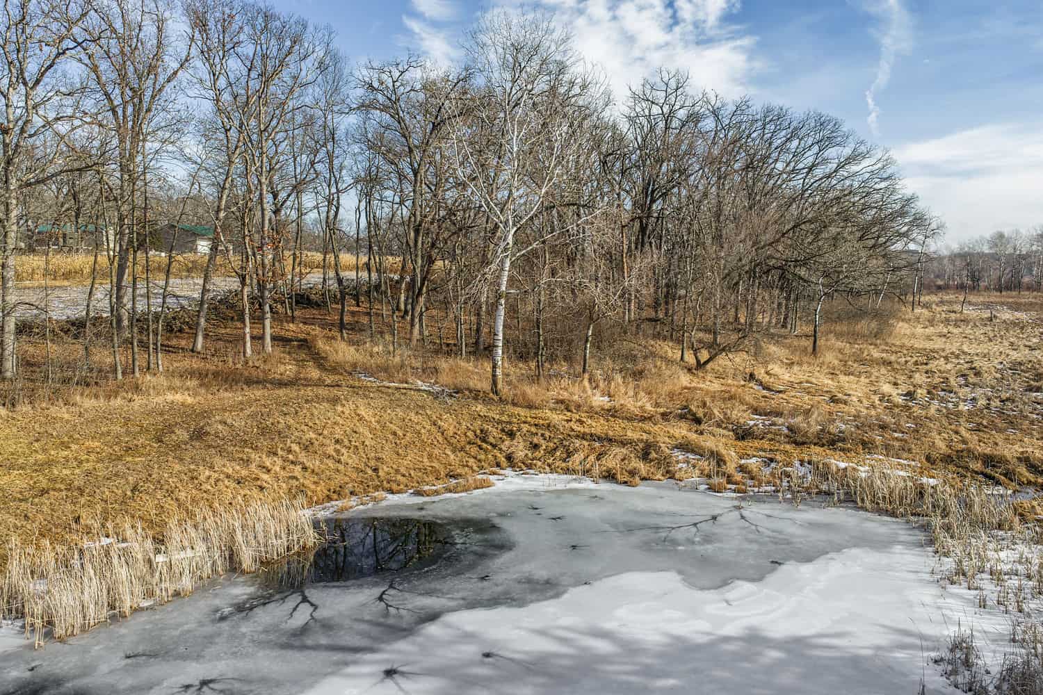 Secluded 40-Acre Property With Prime Hunting and Peaceful Country Living