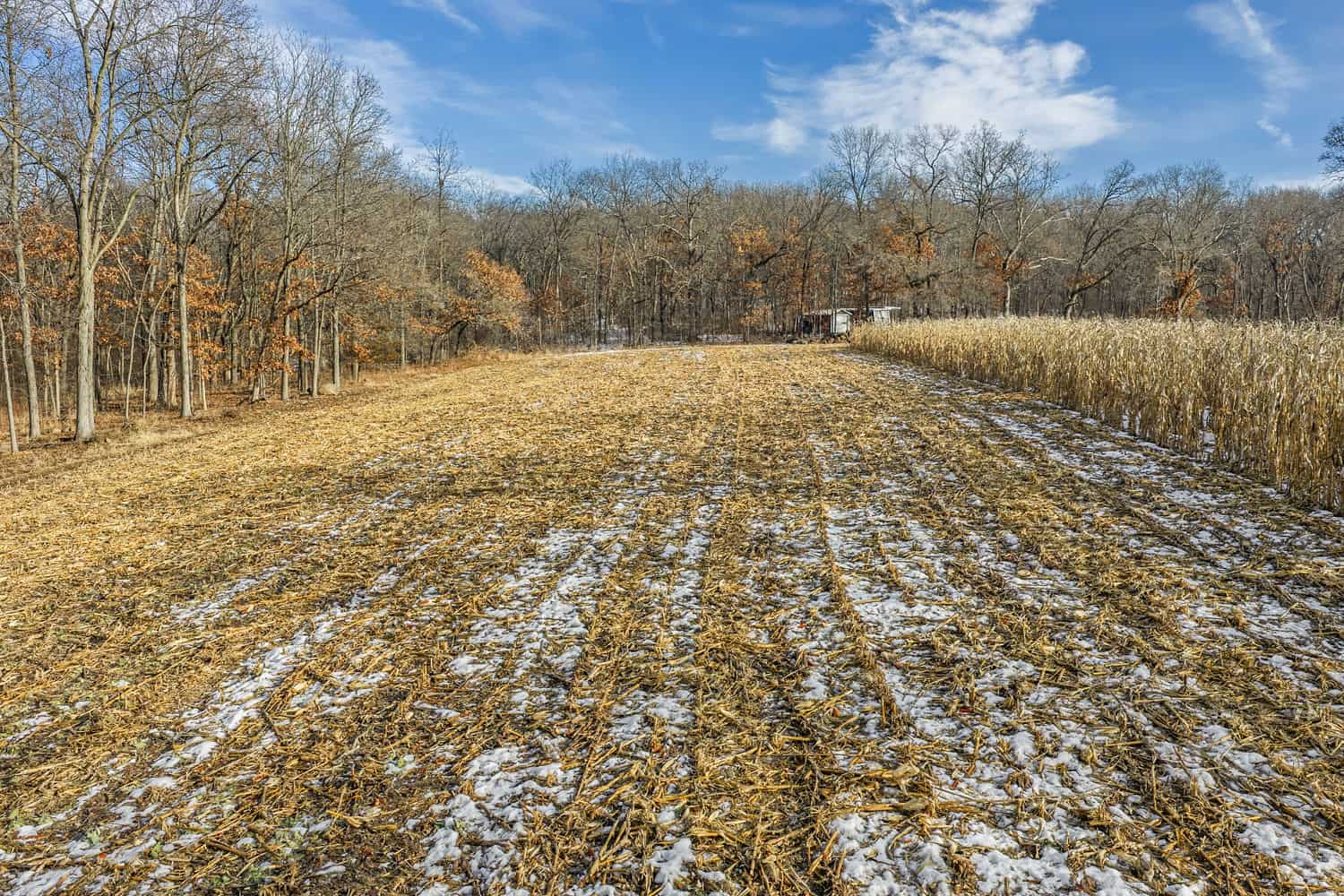 Secluded 40-Acre Property With Prime Hunting and Peaceful Country Living