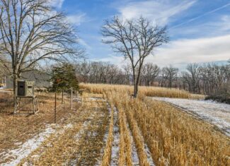 Secluded 40-Acre Property With Prime Hunting and Peaceful Country Living