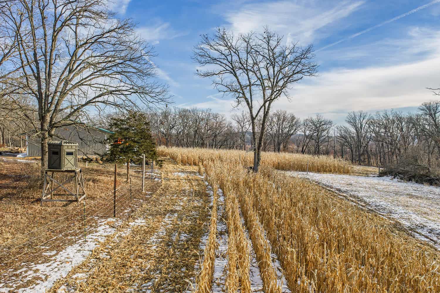 Secluded 40-Acre Property With Prime Hunting and Peaceful Country Living
