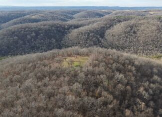 LAND FOR SALE IN THE ARKANSAS OZARK MOUNTAINS