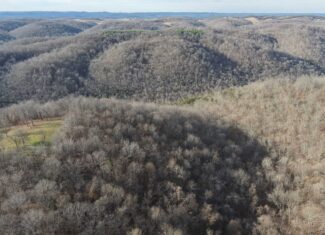 LAND FOR SALE IN THE ARKANSAS OZARK MOUNTAINS