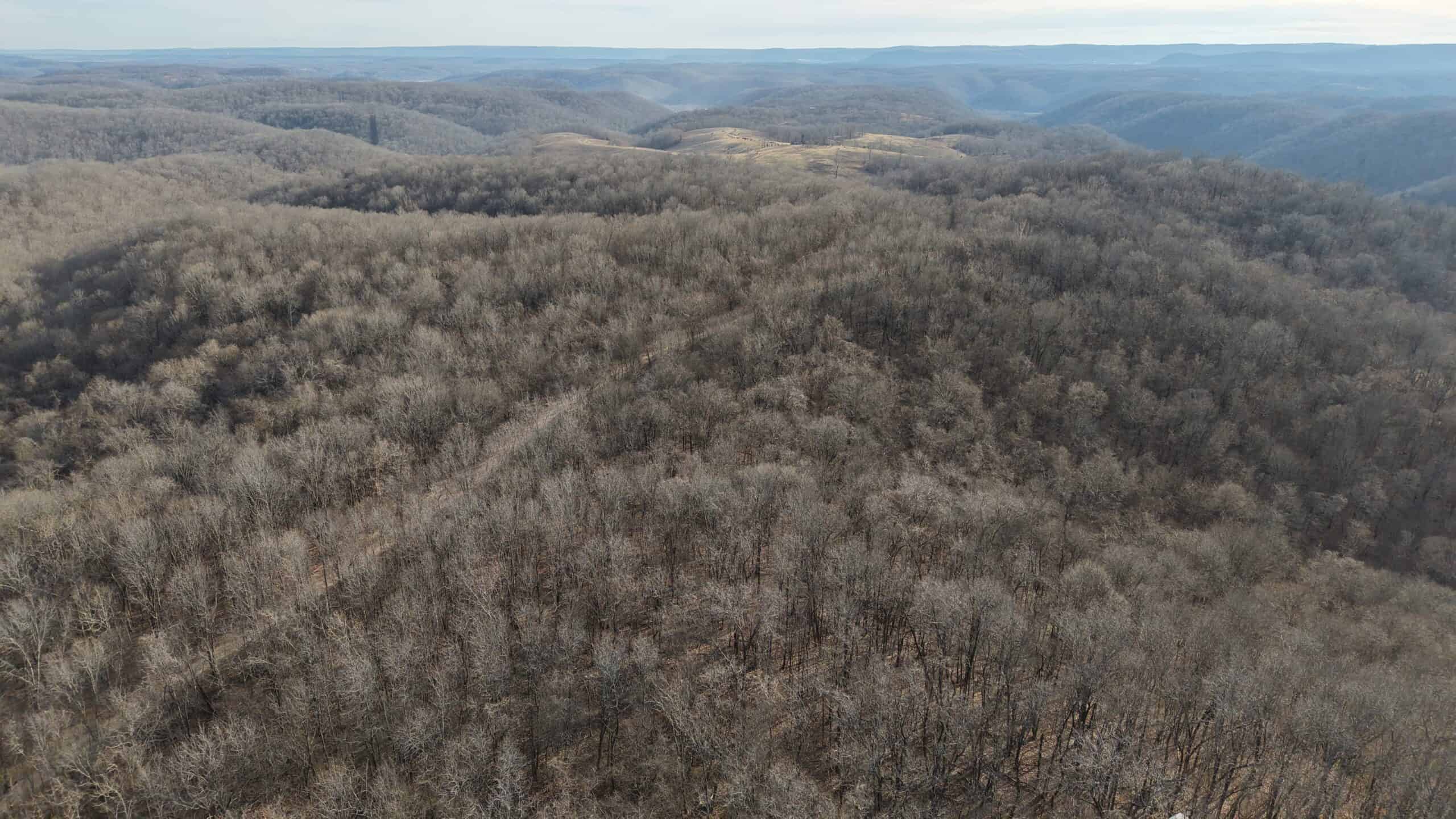 LAND FOR SALE IN THE ARKANSAS OZARK MOUNTAINS