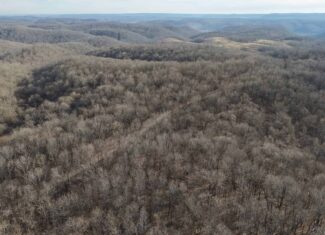 LAND FOR SALE IN THE ARKANSAS OZARK MOUNTAINS