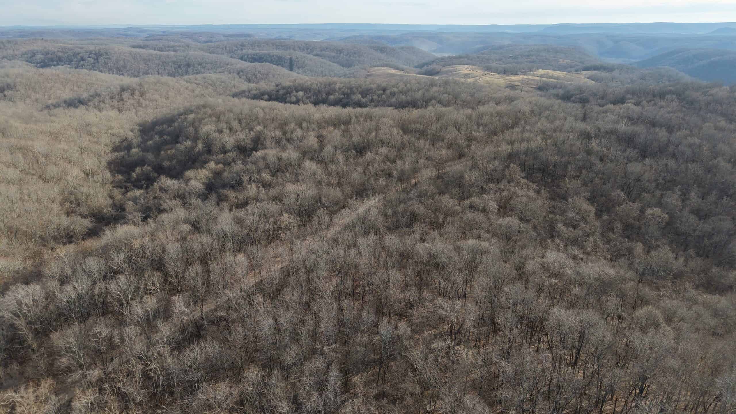 LAND FOR SALE IN THE ARKANSAS OZARK MOUNTAINS