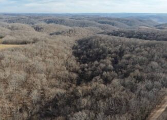LAND FOR SALE IN THE ARKANSAS OZARK MOUNTAINS