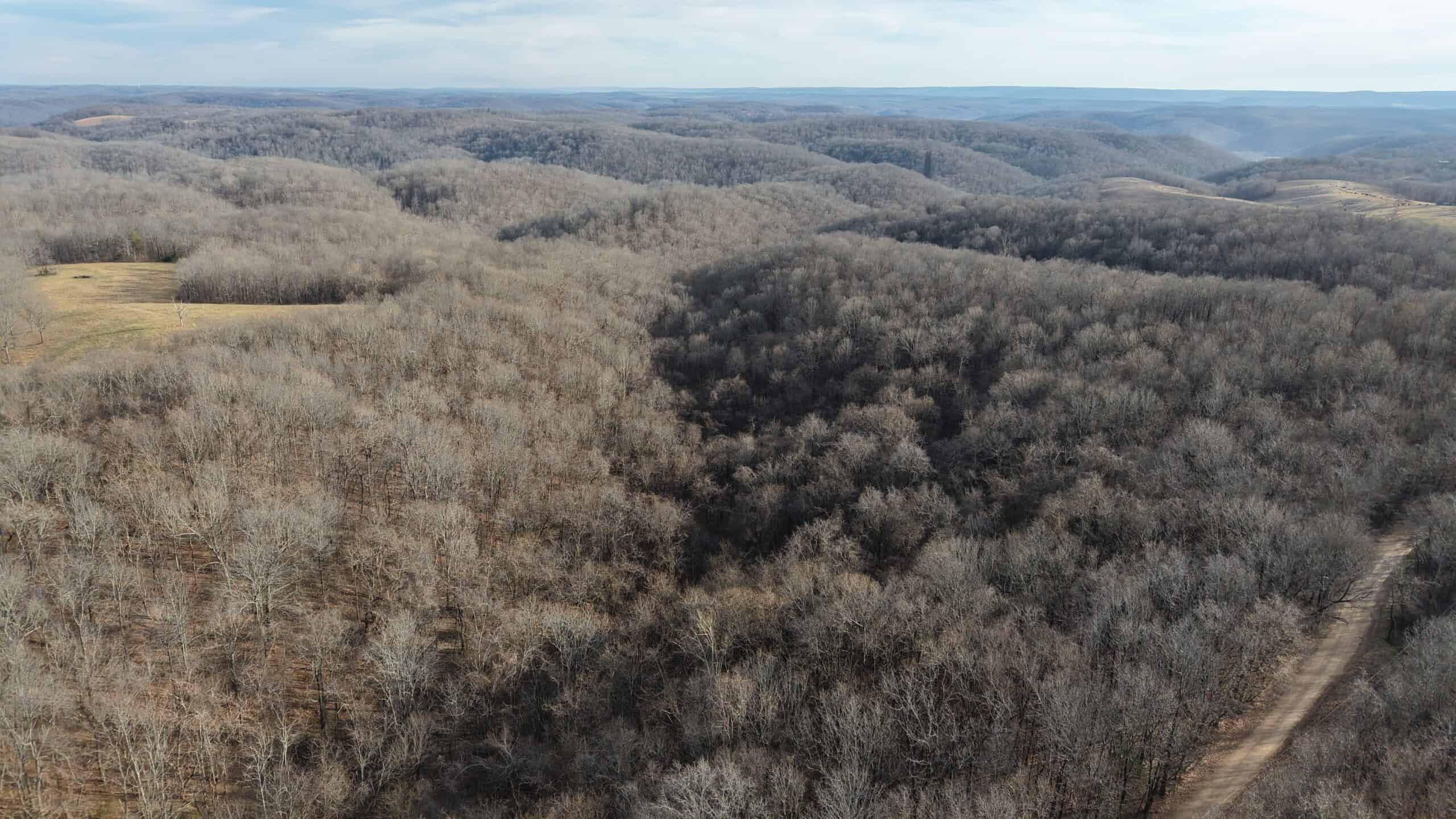 LAND FOR SALE IN THE ARKANSAS OZARK MOUNTAINS