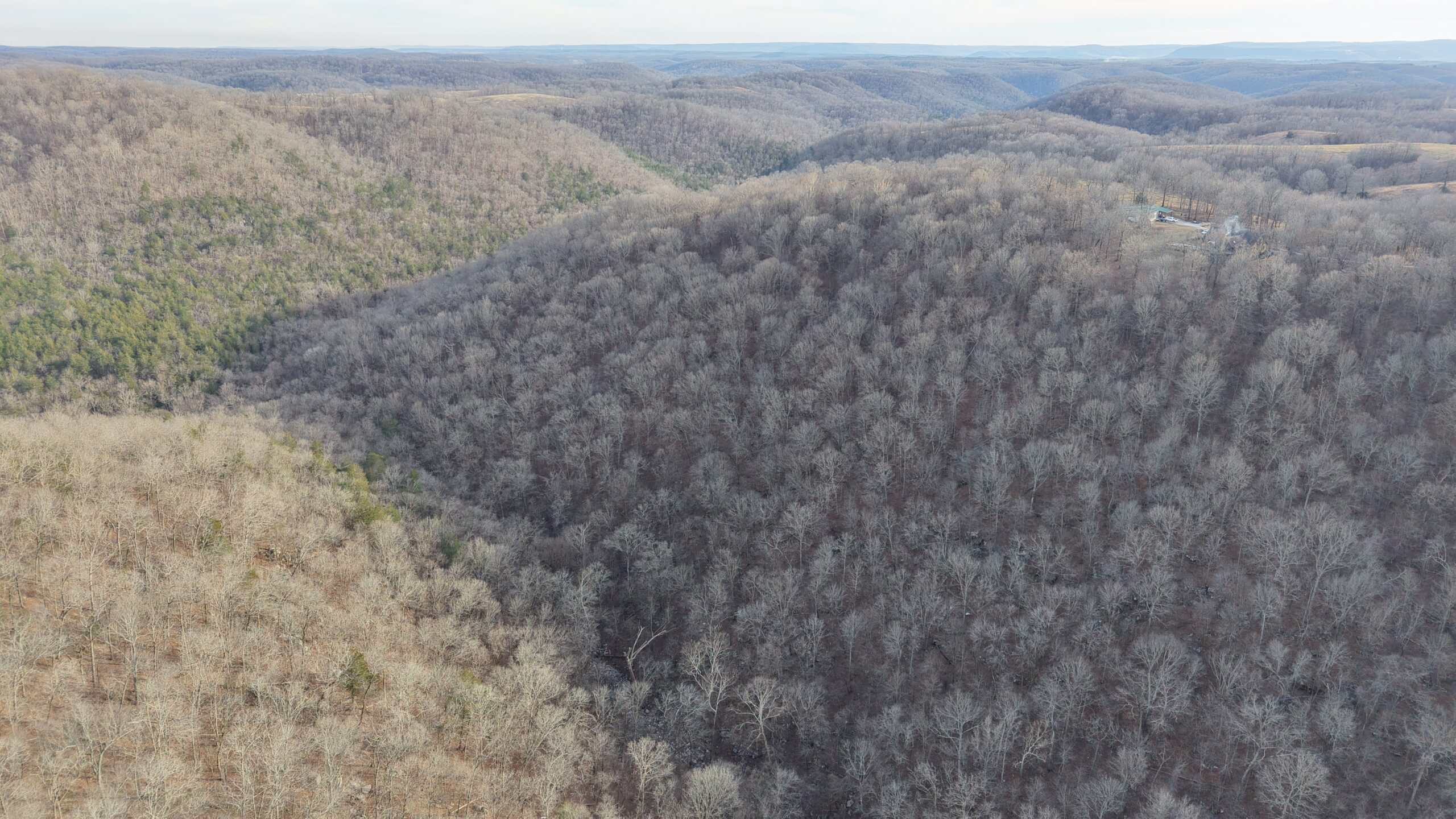 LAND FOR SALE IN THE ARKANSAS OZARK MOUNTAINS