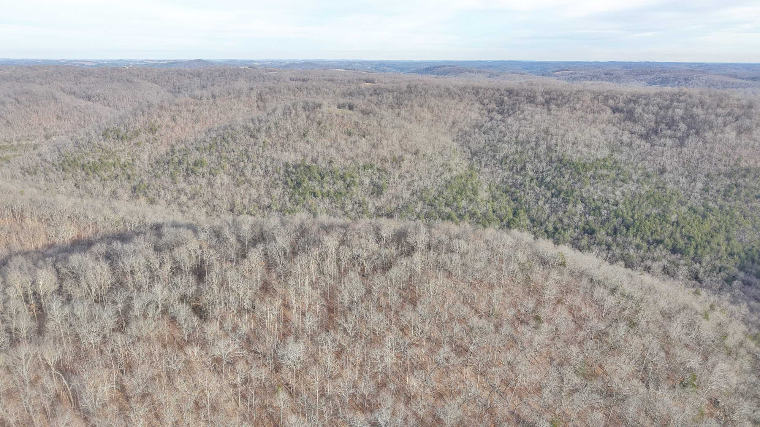 LAND FOR SALE IN THE ARKANSAS OZARK MOUNTAINS