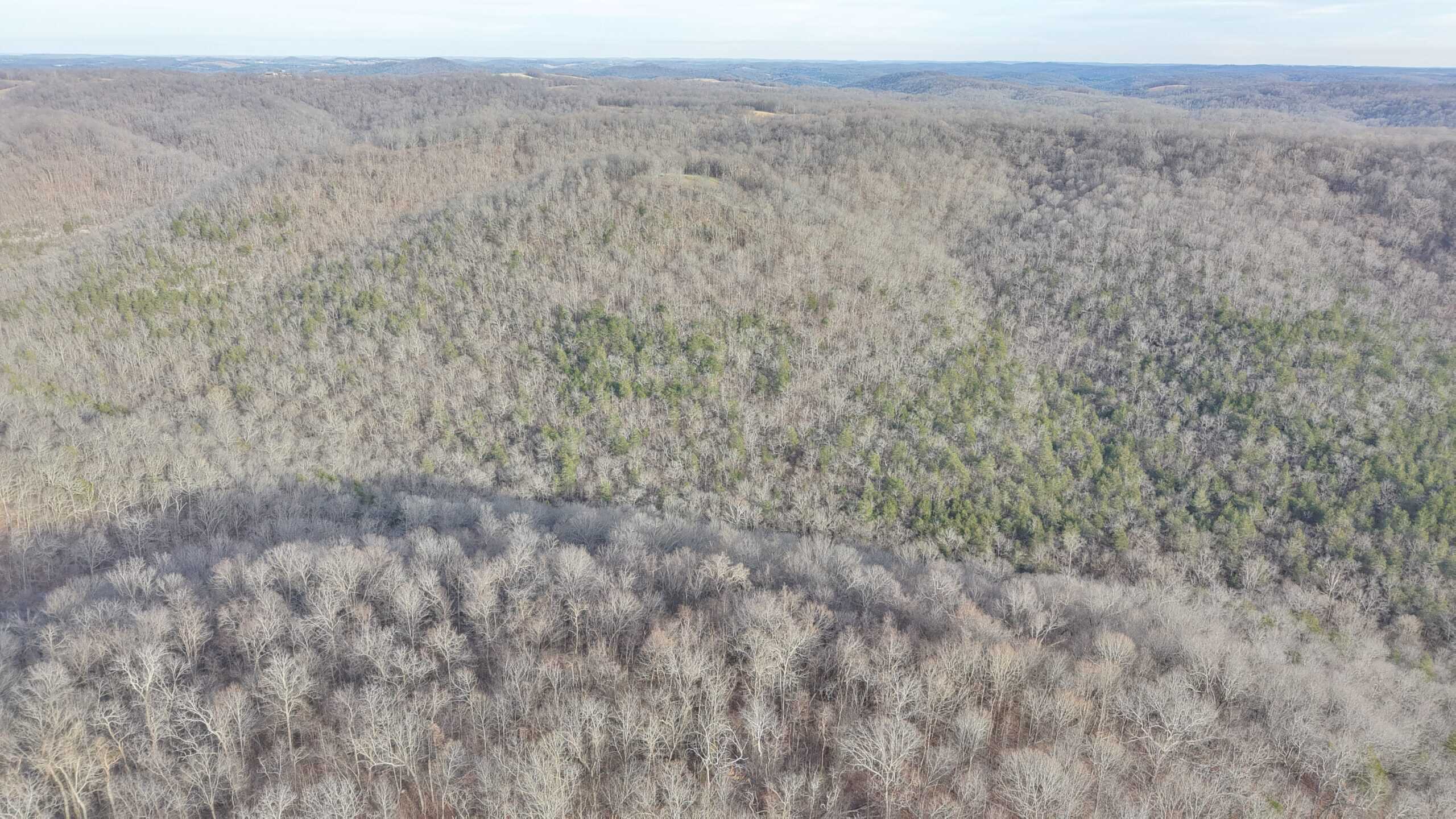 LAND FOR SALE IN THE ARKANSAS OZARK MOUNTAINS