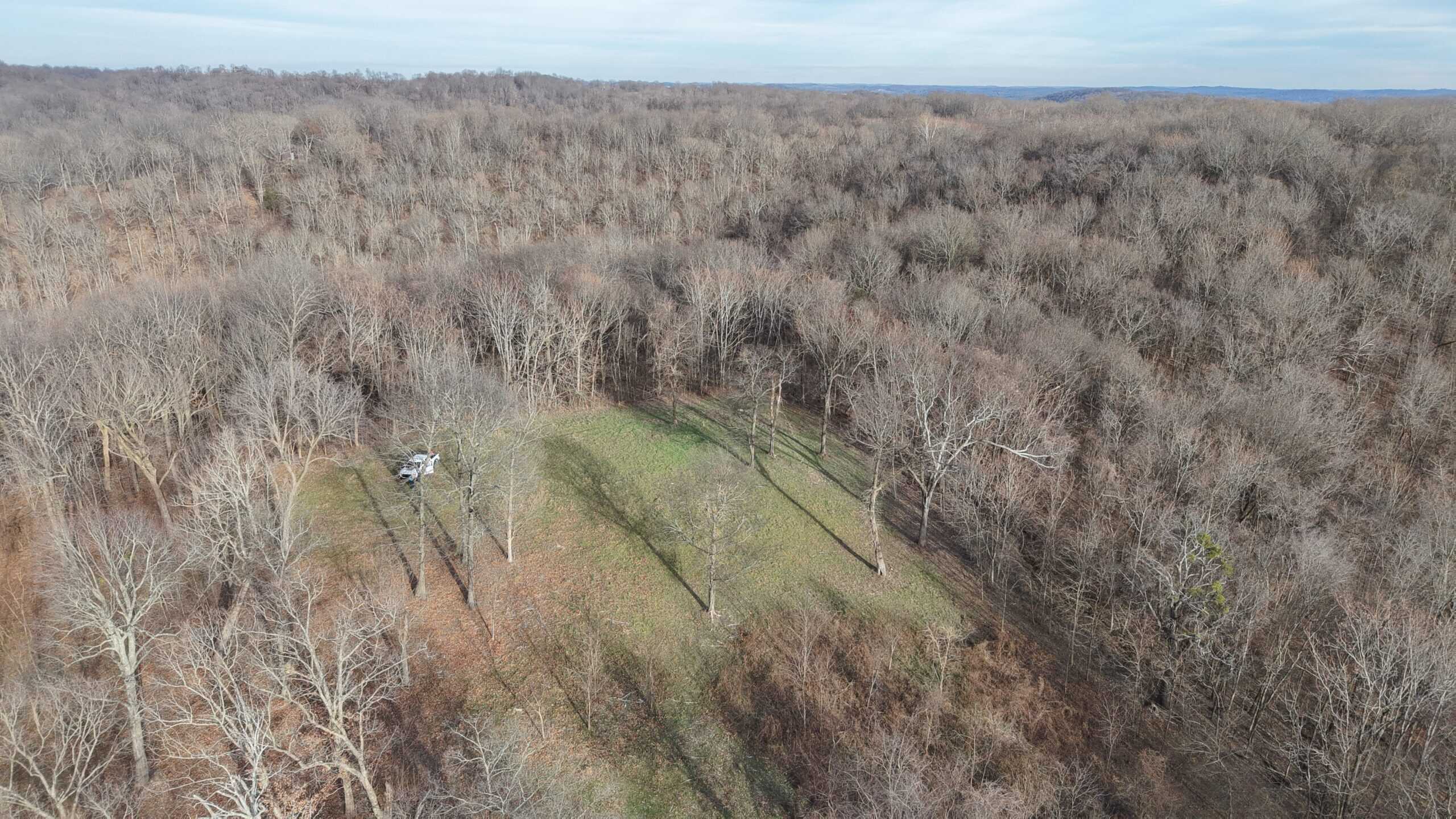 LAND FOR SALE IN THE ARKANSAS OZARK MOUNTAINS