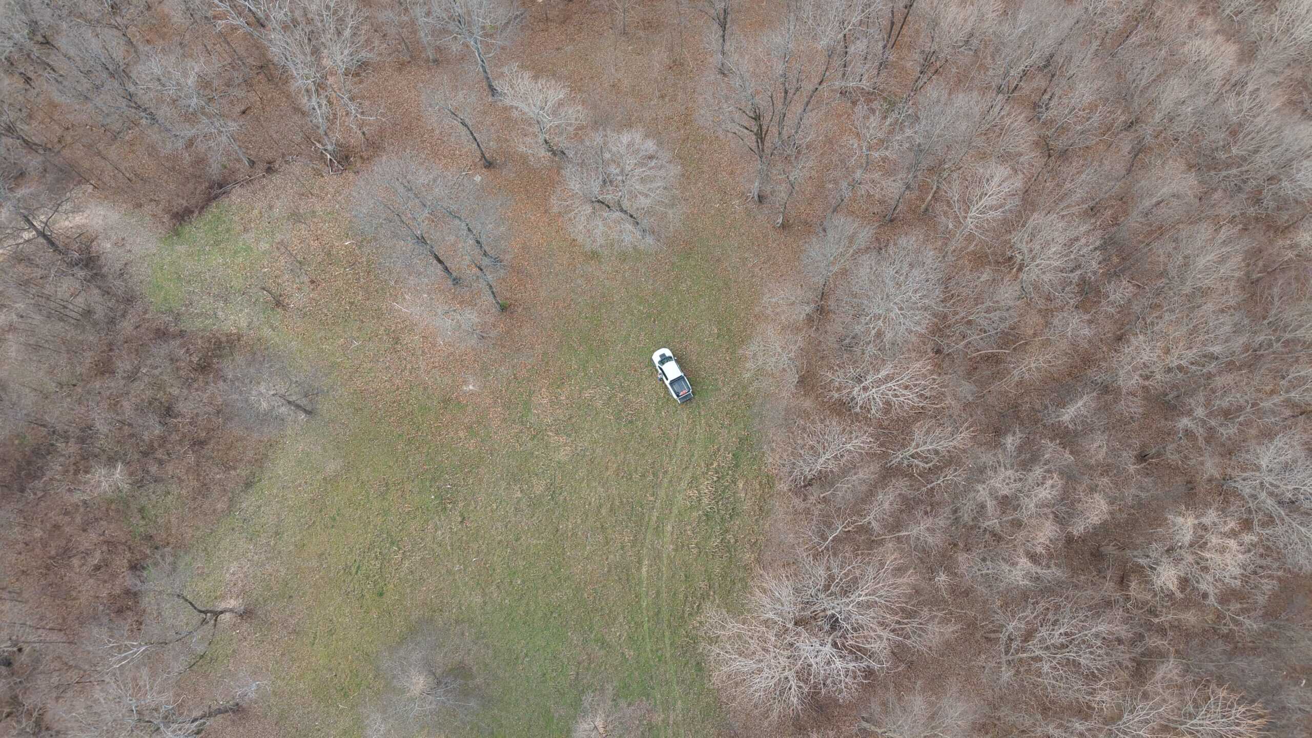 LAND FOR SALE IN THE ARKANSAS OZARK MOUNTAINS