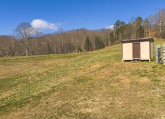 Freedom, Income Potential, and a Turnkey Farmstead: Exceptionally Clean Brick Ranch on 59+ Unrestricted Acres in Claiborne County, Tennessee