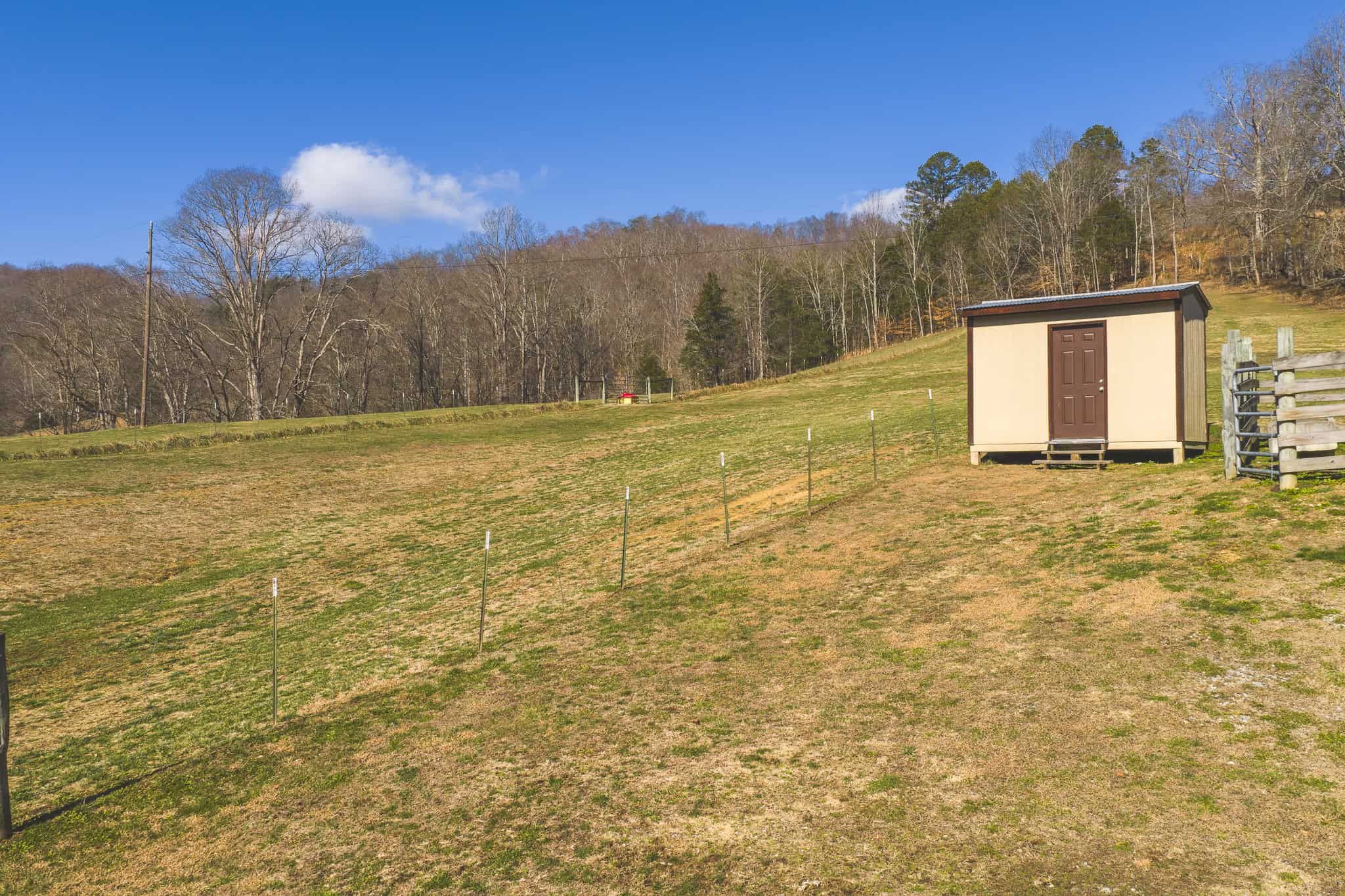 Freedom, Income Potential, and a Turnkey Farmstead: Exceptionally Clean Brick Ranch on 59+ Unrestricted Acres in Claiborne County, Tennessee
