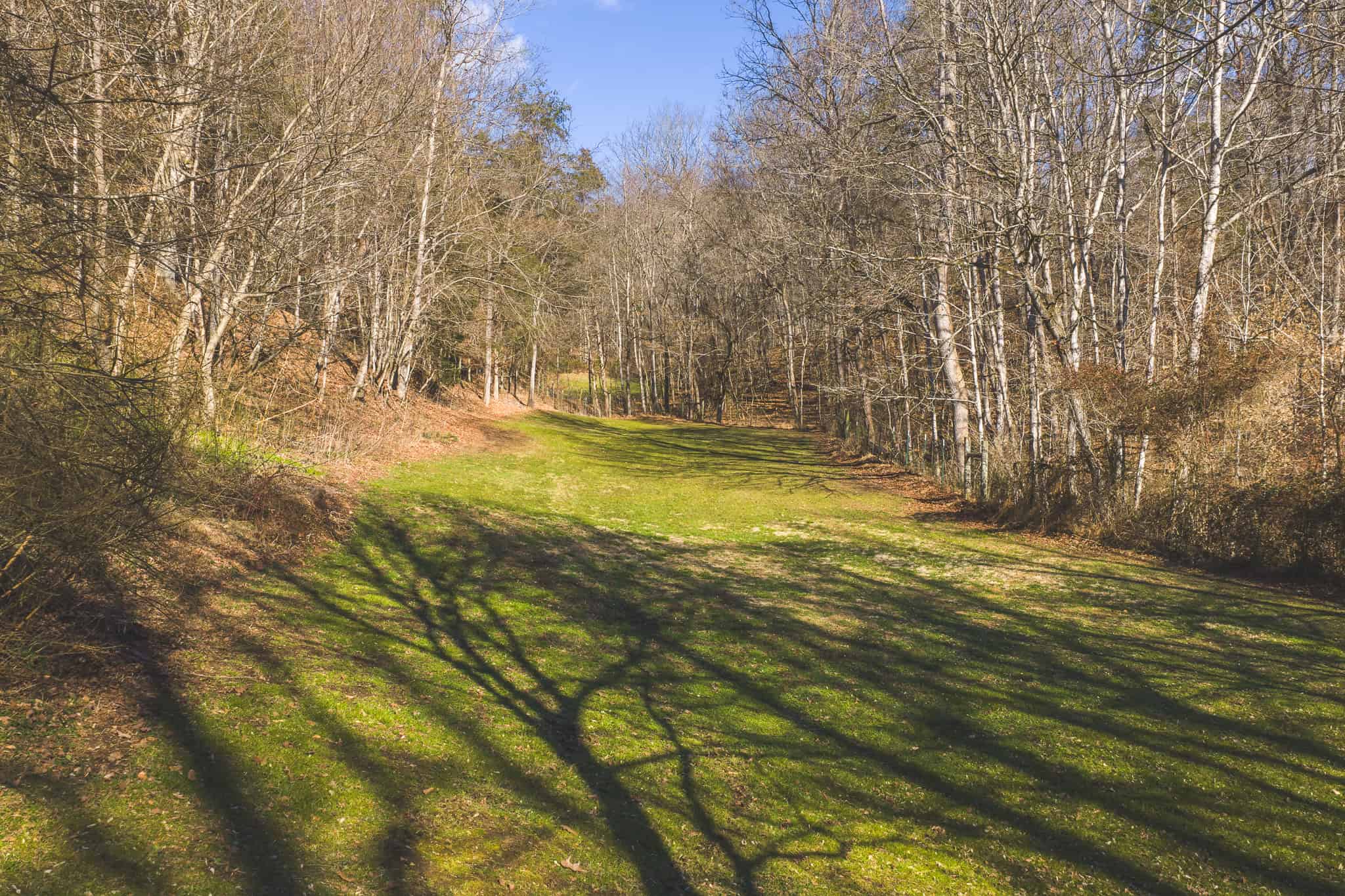 Freedom, Income Potential, and a Turnkey Farmstead: Exceptionally Clean Brick Ranch on 59+ Unrestricted Acres in Claiborne County, Tennessee