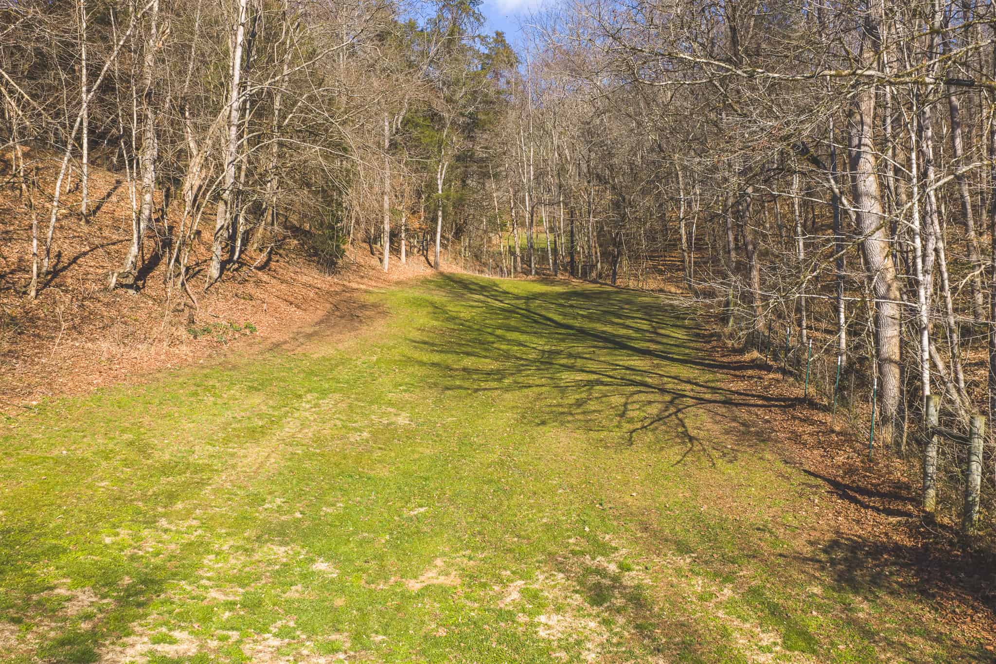 Freedom, Income Potential, and a Turnkey Farmstead: Exceptionally Clean Brick Ranch on 59+ Unrestricted Acres in Claiborne County, Tennessee