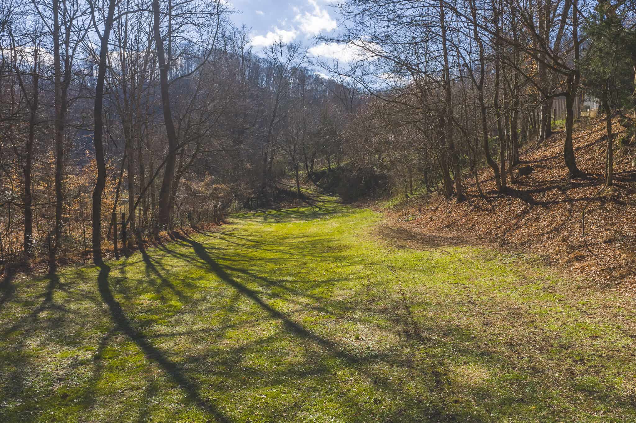 Freedom, Income Potential, and a Turnkey Farmstead: Exceptionally Clean Brick Ranch on 59+ Unrestricted Acres in Claiborne County, Tennessee