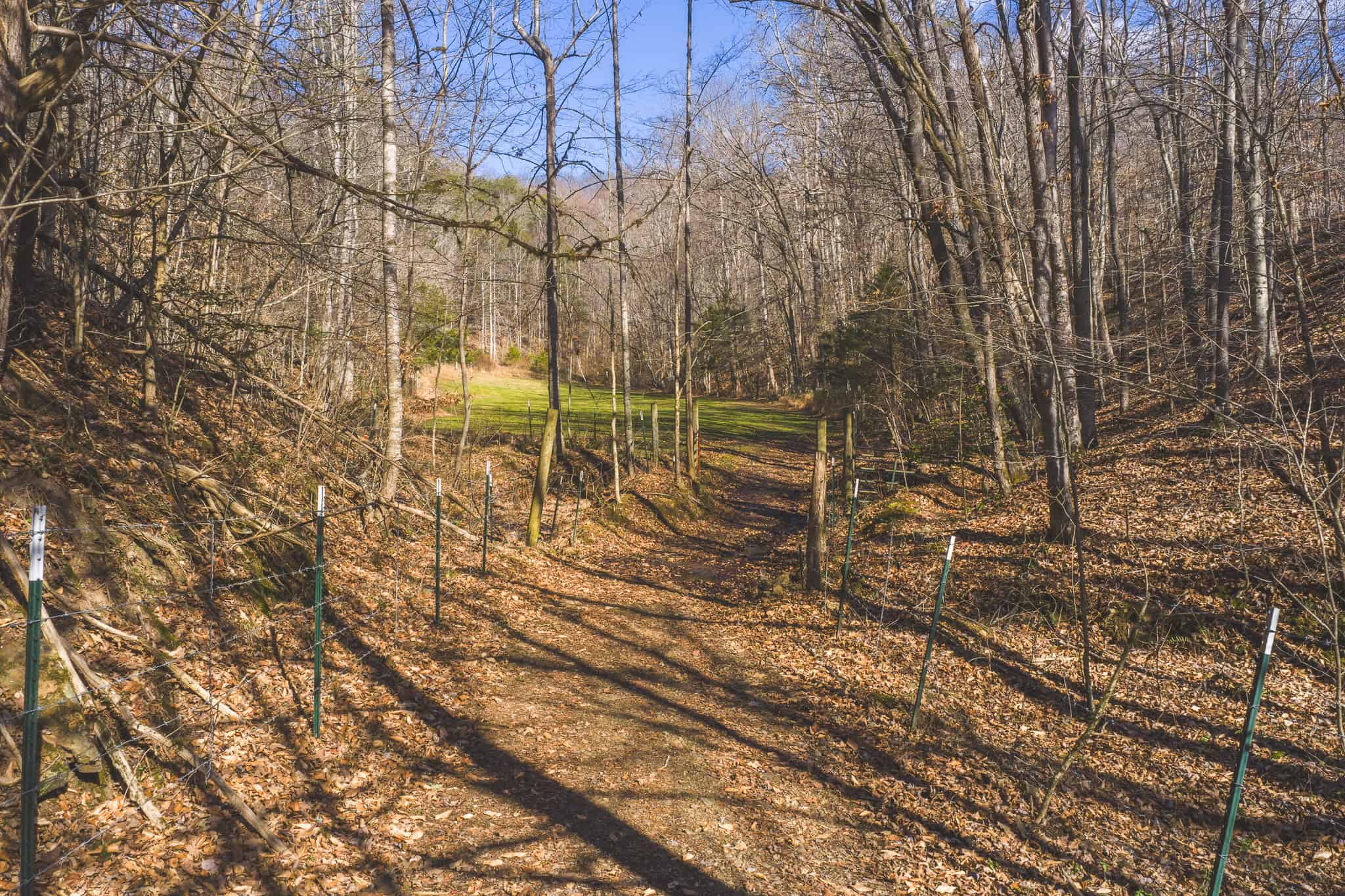 Freedom, Income Potential, and a Turnkey Farmstead: Exceptionally Clean Brick Ranch on 59+ Unrestricted Acres in Claiborne County, Tennessee