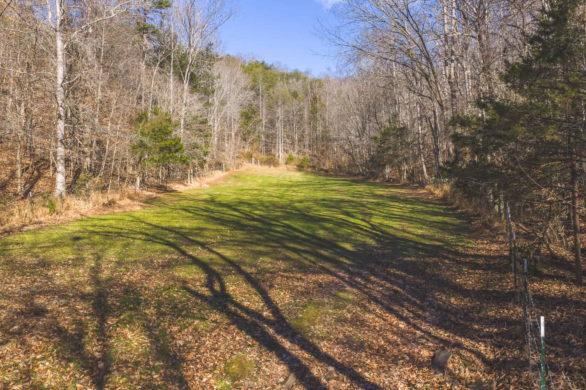Freedom, Income Potential, and a Turnkey Farmstead: Exceptionally Clean Brick Ranch on 59+ Unrestricted Acres in Claiborne County, Tennessee