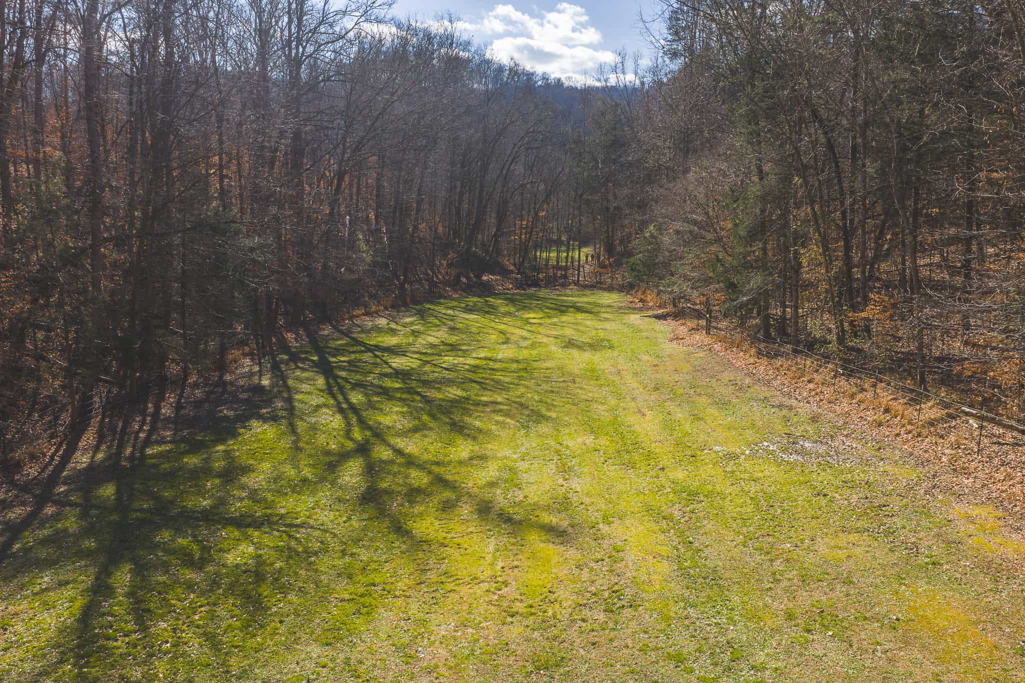 Freedom, Income Potential, and a Turnkey Farmstead: Exceptionally Clean Brick Ranch on 59+ Unrestricted Acres in Claiborne County, Tennessee