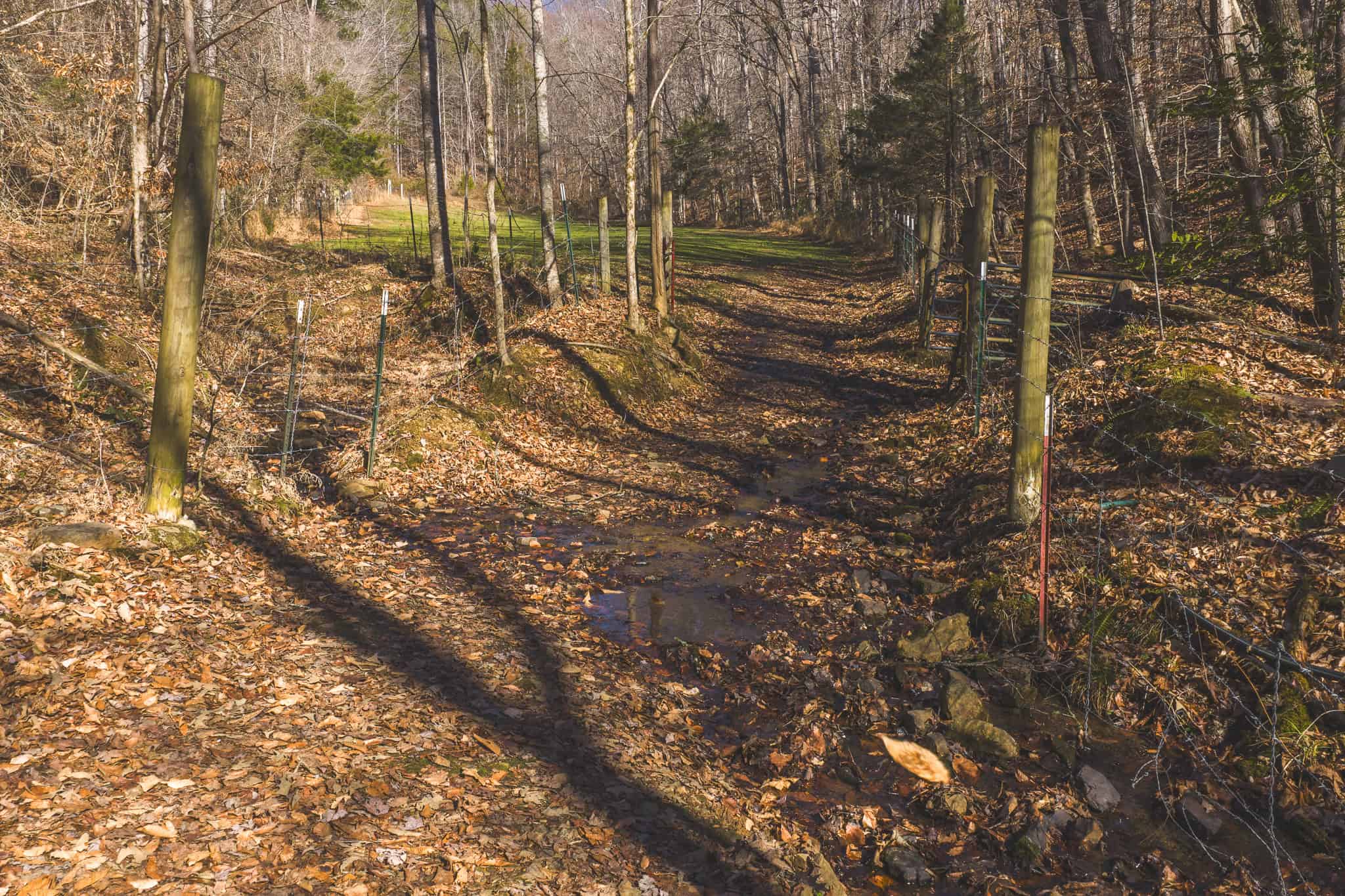 Freedom, Income Potential, and a Turnkey Farmstead: Exceptionally Clean Brick Ranch on 59+ Unrestricted Acres in Claiborne County, Tennessee
