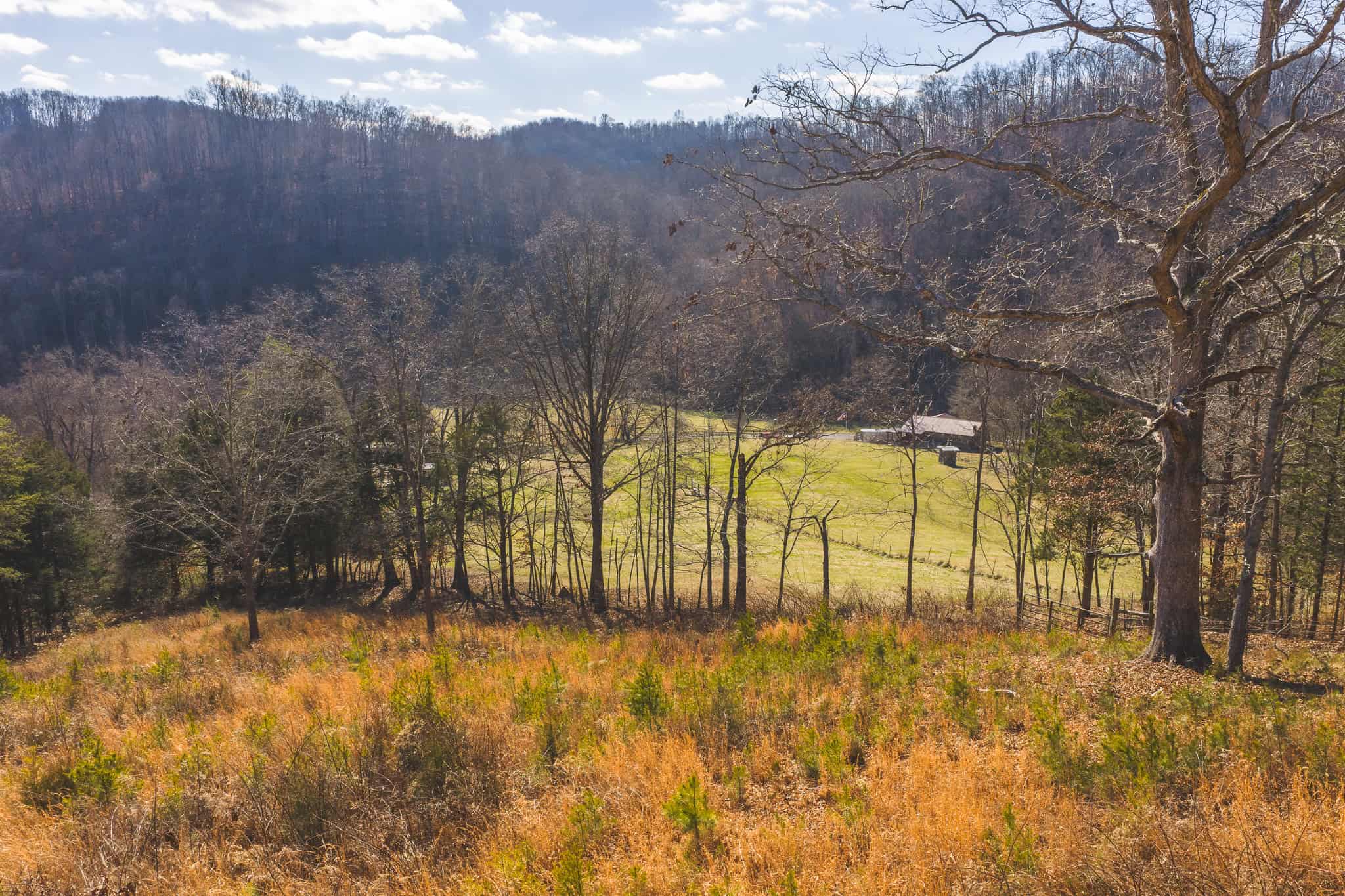 Freedom, Income Potential, and a Turnkey Farmstead: Exceptionally Clean Brick Ranch on 59+ Unrestricted Acres in Claiborne County, Tennessee
