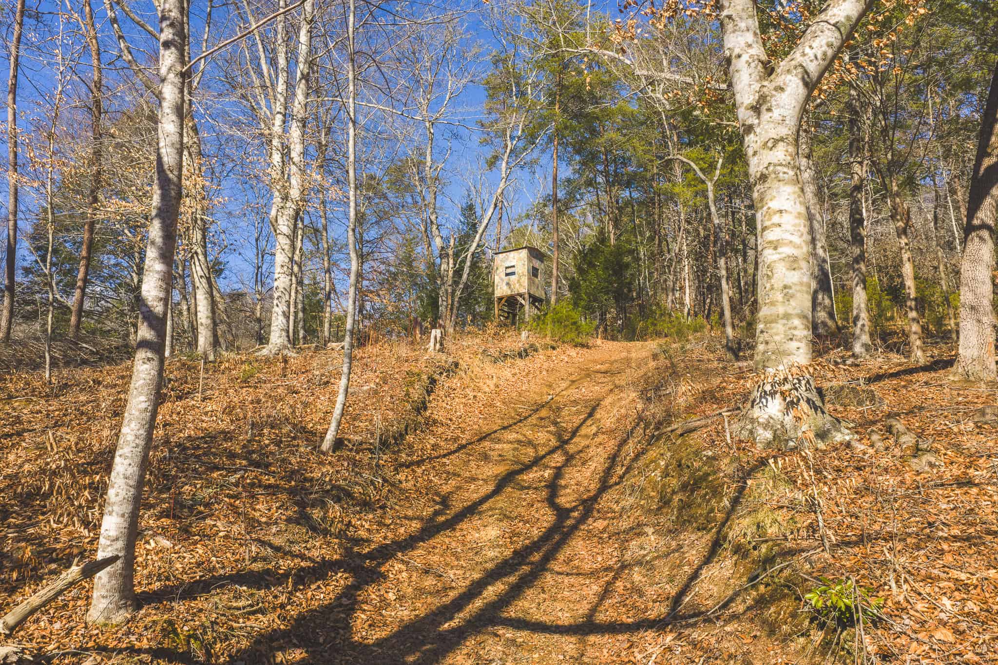Freedom, Income Potential, and a Turnkey Farmstead: Exceptionally Clean Brick Ranch on 59+ Unrestricted Acres in Claiborne County, Tennessee