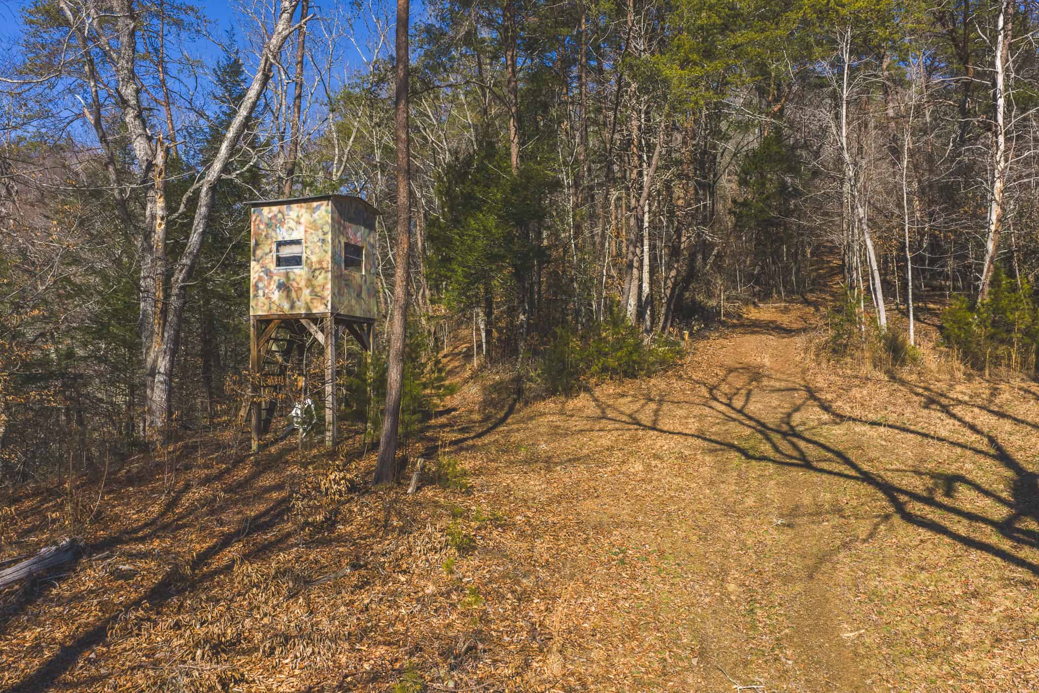 Freedom, Income Potential, and a Turnkey Farmstead: Exceptionally Clean Brick Ranch on 59+ Unrestricted Acres in Claiborne County, Tennessee