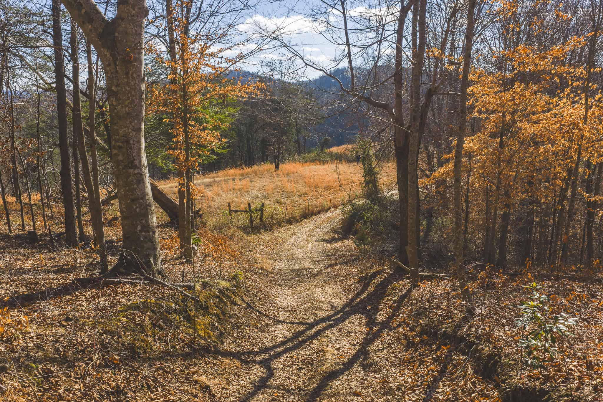Freedom, Income Potential, and a Turnkey Farmstead: Exceptionally Clean Brick Ranch on 59+ Unrestricted Acres in Claiborne County, Tennessee